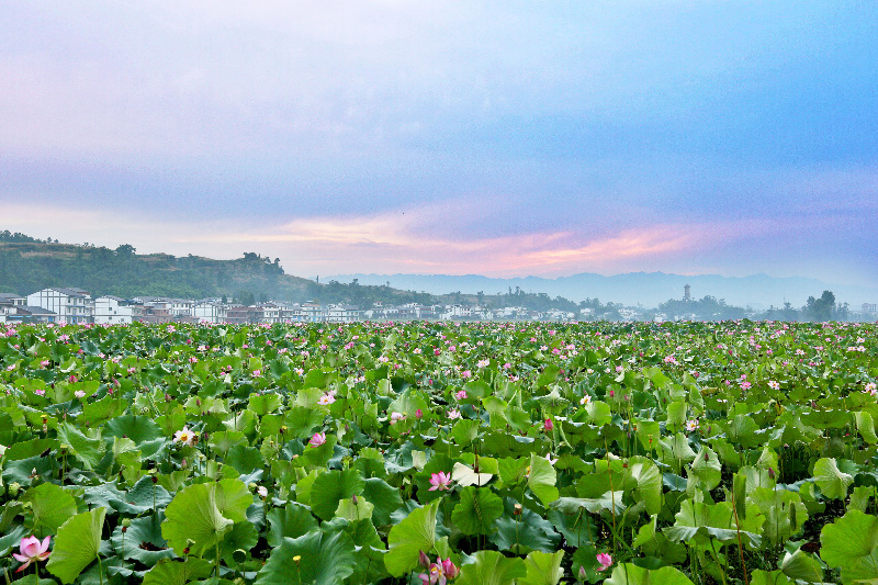 开江"莲花世界"背后的企业风采