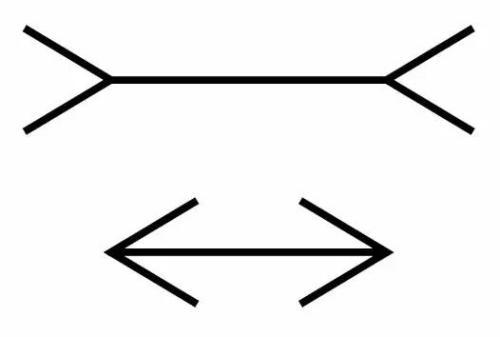1,箭形错觉:同样长的线段但由于箭头的指向不同而造成大小的错觉.