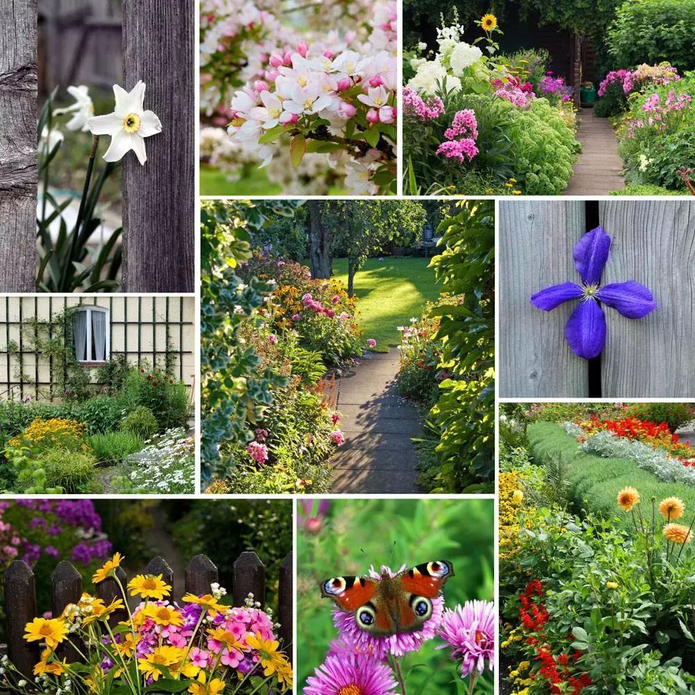 宠派养花大全 一般而言,花园里种满了花,杂草的生长空间自然就少了.