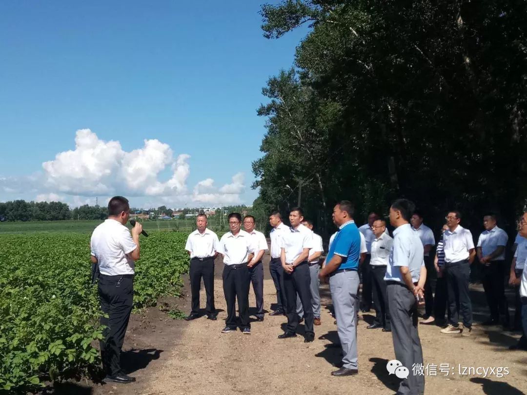 8月6日,锦河农场场长任传军,农业副场长王园林带领农业战线工作人员41