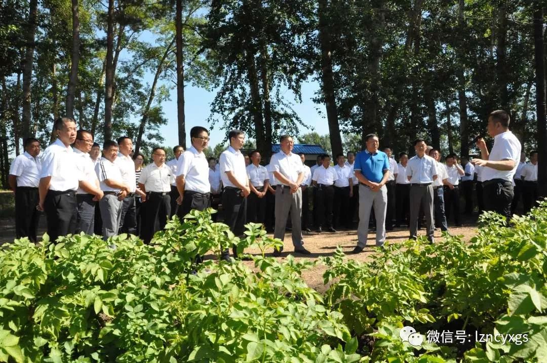 8月6日,锦河农场场长任传军,农业副场长王园林带领农业战线工作人员41