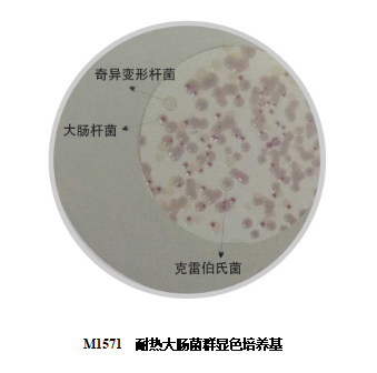m1571是一种用于检测和计数水中耐高温大肠菌群膜过滤法