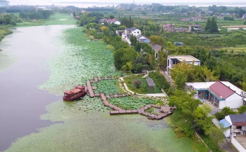 〡2018中国·丹徒旅游文化节-镇江江心洲第四届无花果节城市专场推介