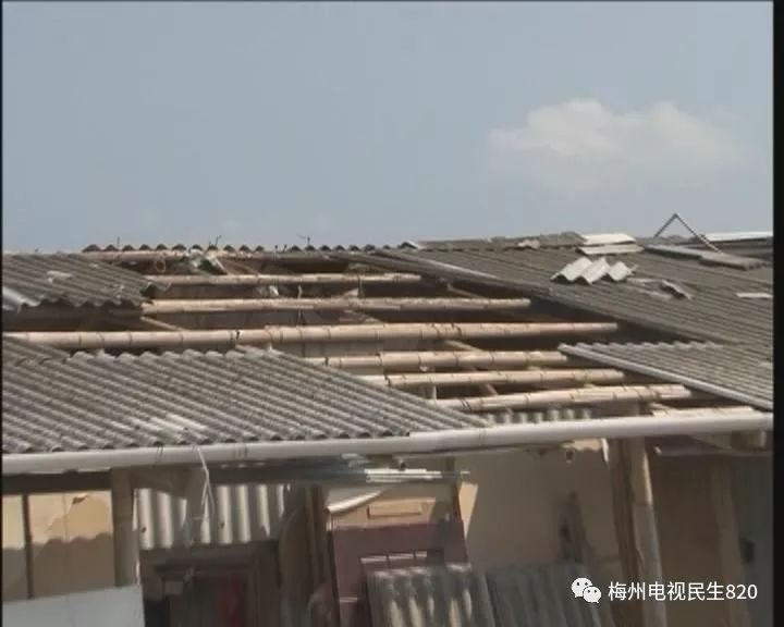 昨天,我市刮起八级大风……狂风暴雨中,兴宁这里的菜地工棚屋顶被掀