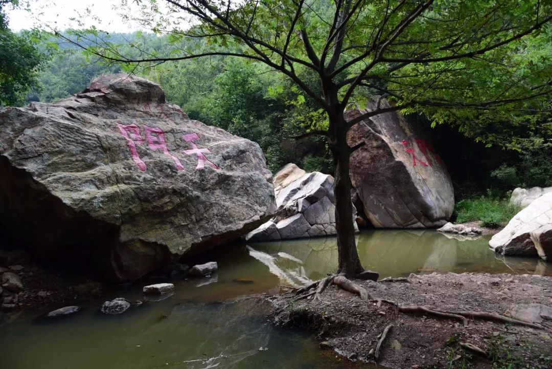 【儒林外转】网红景区-汝州九峰山 抖音桥一日游!