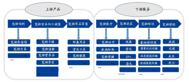 宠物食双赢彩票登录品大有可为(图10)