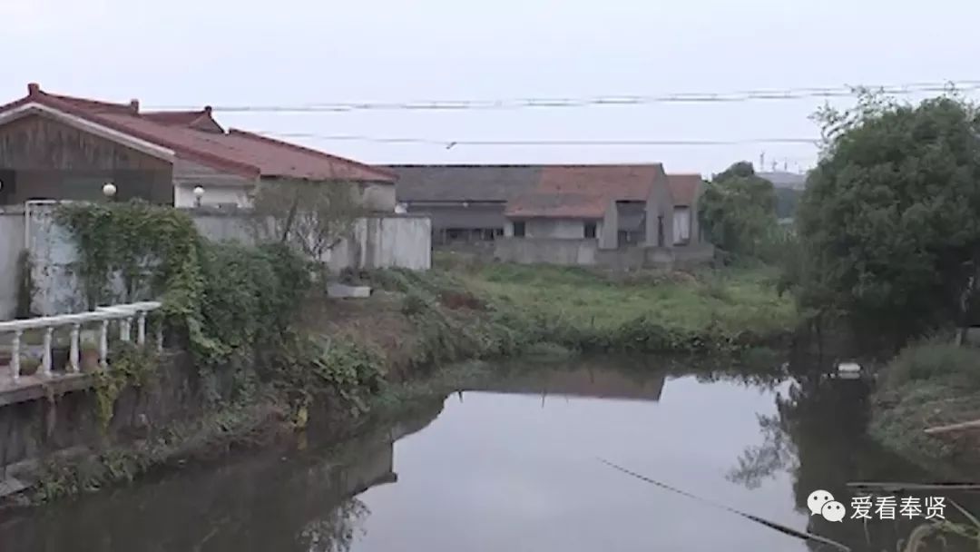 柘林镇南胜村贝港河治理见成效 臭水浜变身公园景观河