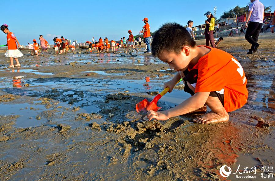 "小候鸟"在体验赶海时光—挖海螺.林弘梫摄