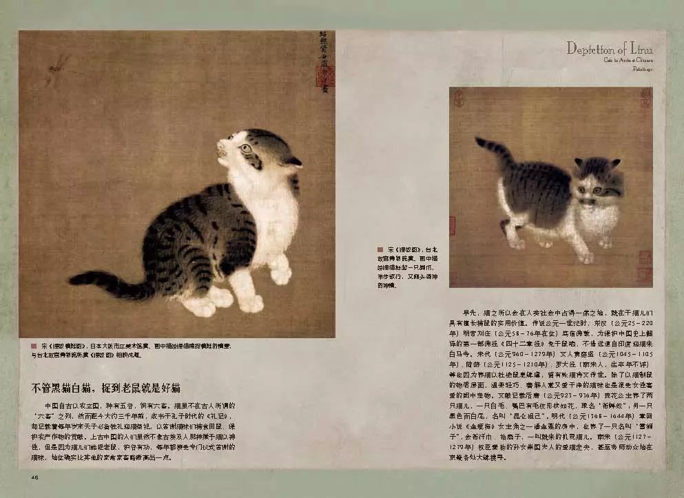 狸奴画影中国历代名画中的猫