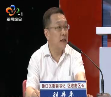 硚口区区长 刘丹平