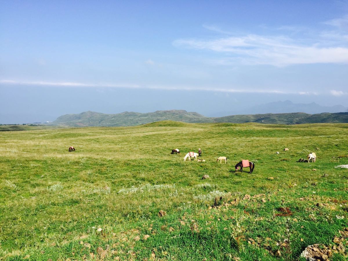 贵州清凉之旅,在乌蒙大草原,大洞竹海过向往的生活