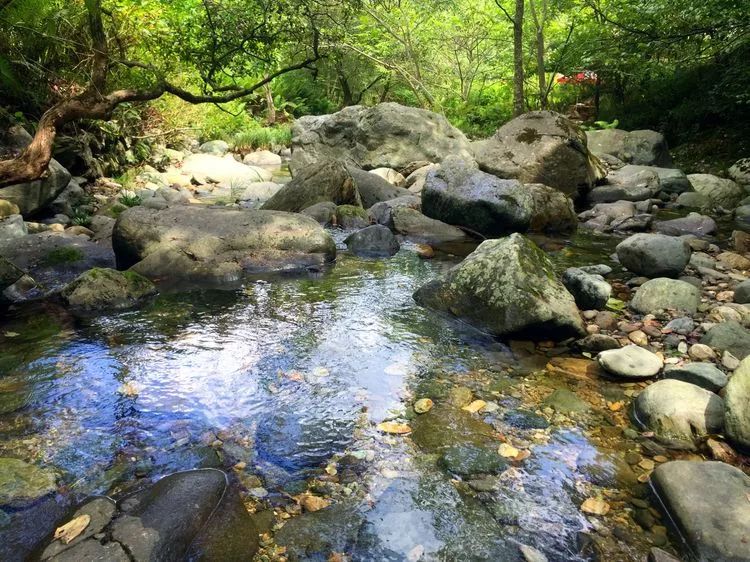 【平利风景】桃花溪游记