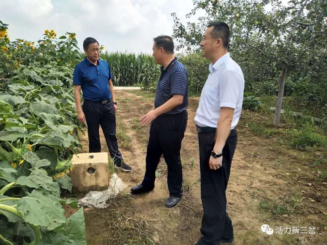 最后,冯栋平强调指出,三岔镇作为黄龙县的苹果产业大