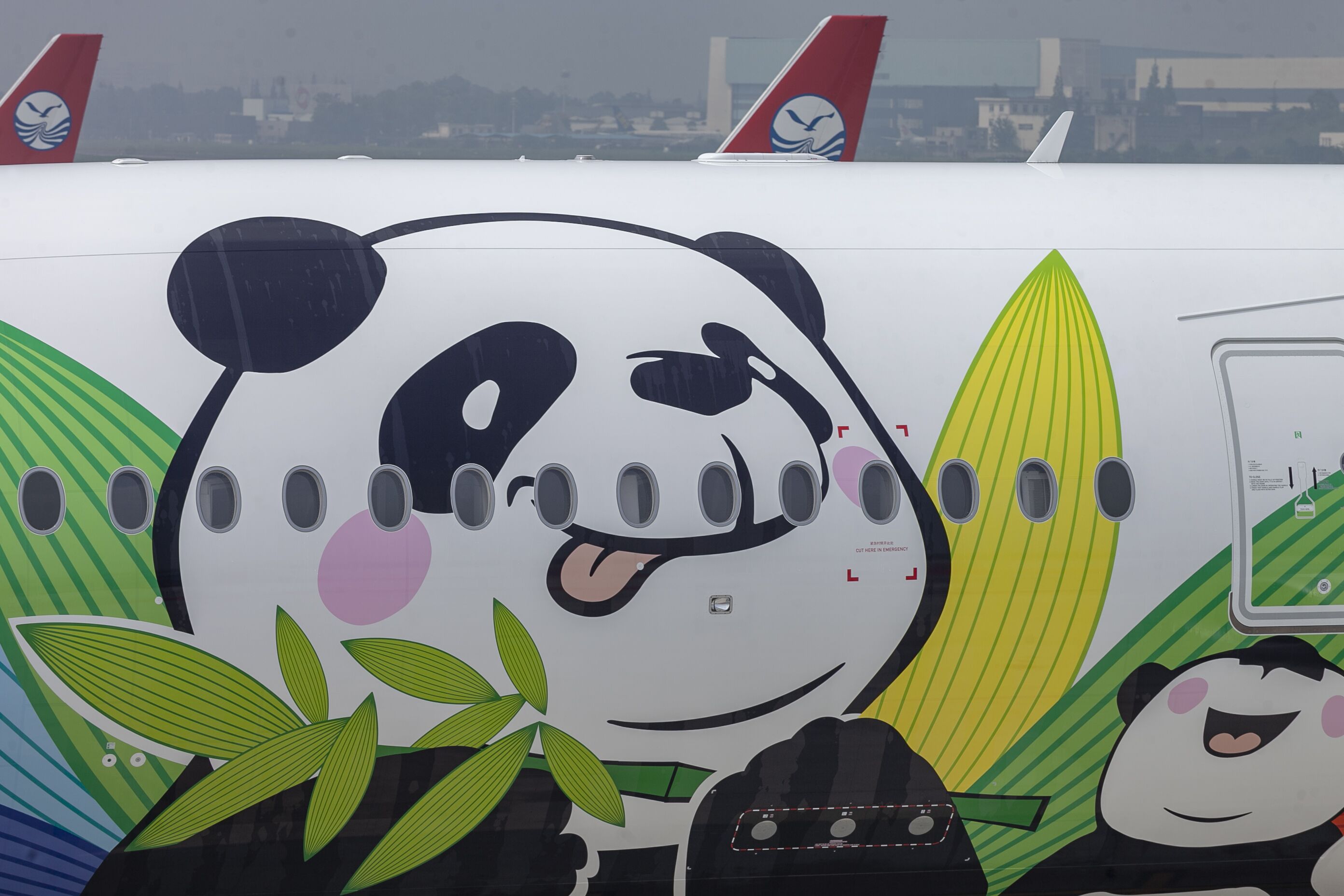 川航首架空客A350飞机抵蓉 助飞“熊猫之路”-搜狐大视野-搜狐新闻