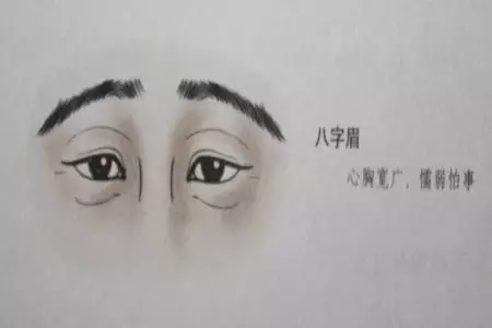 为什么面相师说男人看鼻女人看眉这10种眉毛有碍运势一定要改