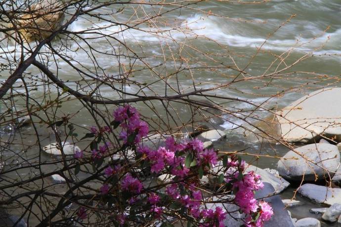 落花流水 明日人千里 潺潺江水流