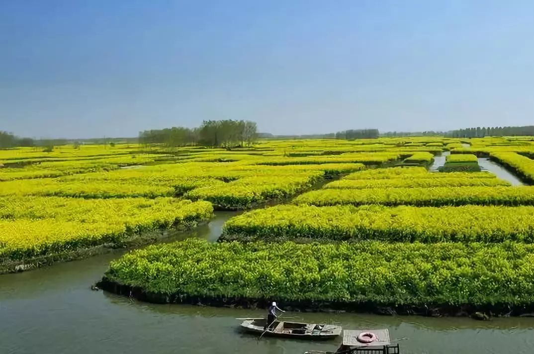 世界独一无二的垛田农业系统,漂浮在水上的农业乐园