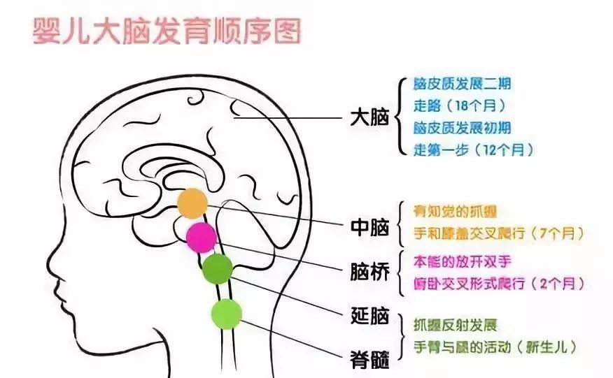 如果持续下去,他大脑关键部位的细胞可能死亡.