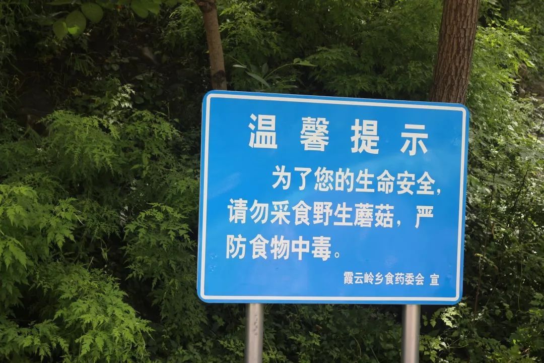 景区,旅游徒步眼线以及蘑菇易生区设立"严禁采食野蘑菇"警示牌