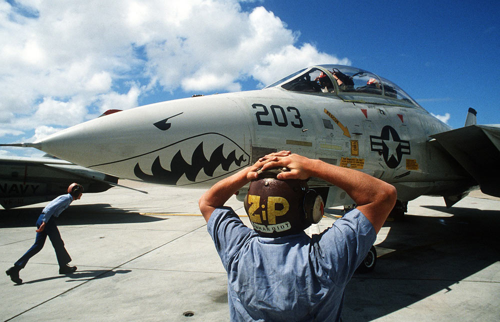 追忆f-14战斗机当年风采"鲨鱼嘴"涂装让它更威风