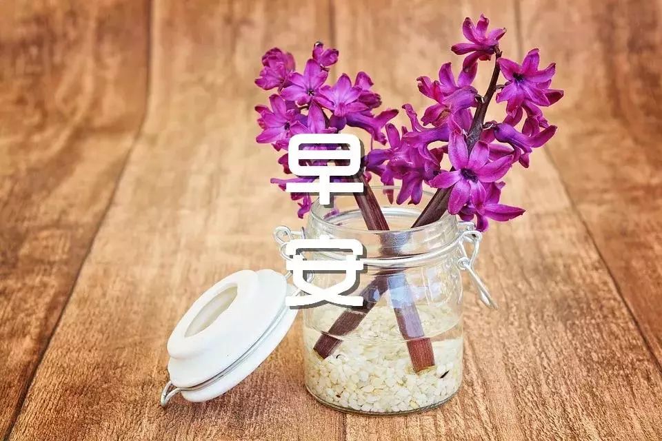 最新漂亮早安图片鲜花带字 新的一天开始早安精美语句