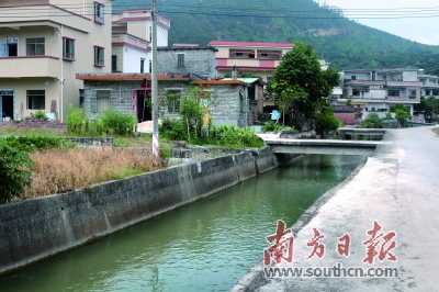 太平镇河村西渠由臭水沟变清水沟