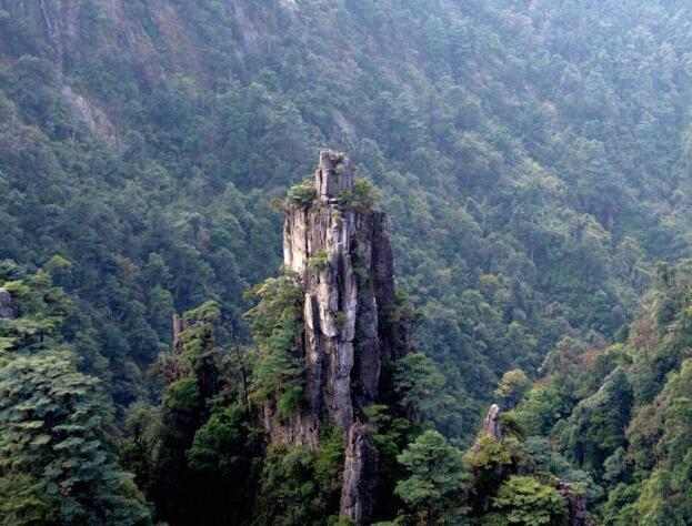 莽山主要有将军寨(鬼子寨),天台山,猴王寨,湘粤峰(猛坑石)四大景区.