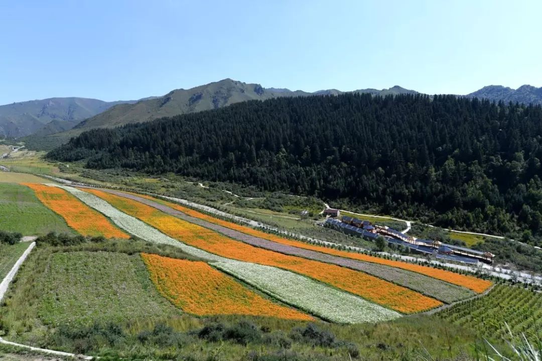 西北动态 乡村旅游:担当青海乡村振兴重任