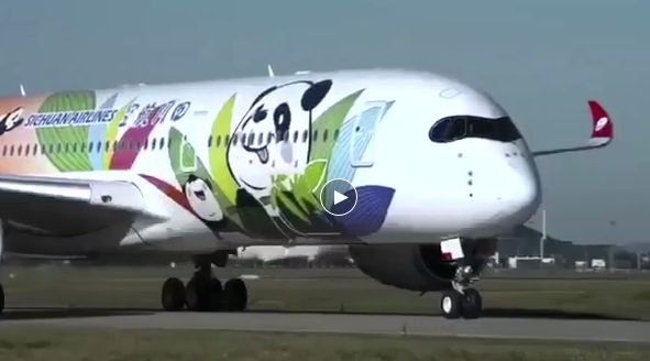 川航a350首秀全身都是熊猫各大航空机身喷绘你最爱哪个