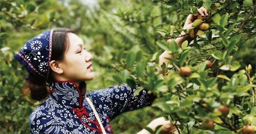 孕妇吃荤油好不好