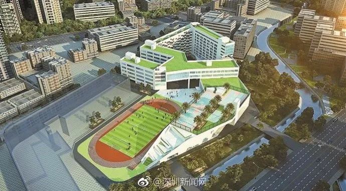 龙华区教科院附属实验学校