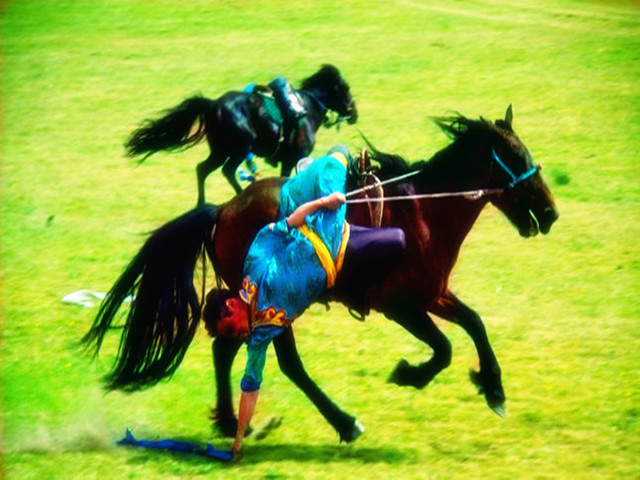 南阳旅游推荐〢越野车驰骋草原,探秘驯鹿部落,享13项草原活动.