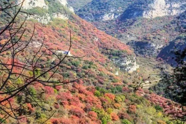 红岩岭上四十里,处处皆是好风光