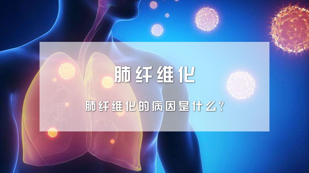 肺纤维化的病因是什么?