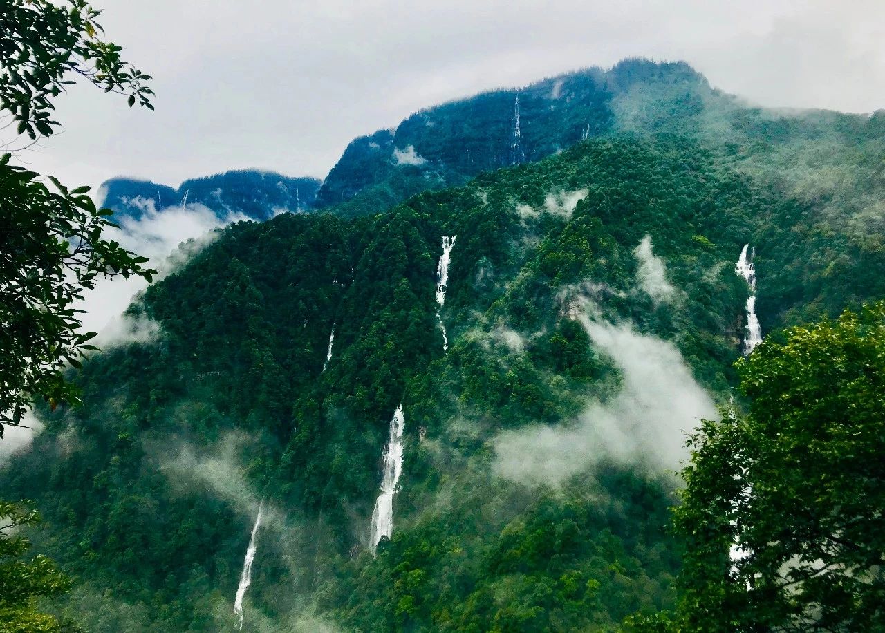 瓦屋山像一个瀑布博物馆, 108个泉眼涌流不竭,72条瀑布飞流直下,且