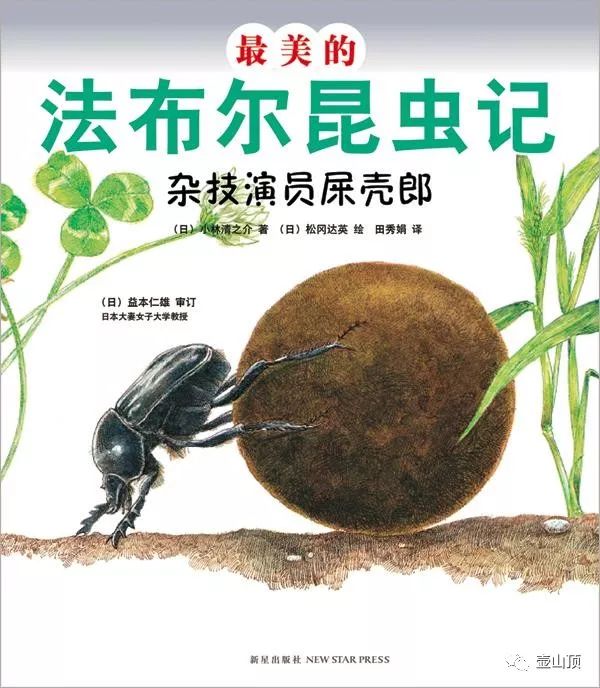 在他的不朽名著《昆虫记》里,屎壳郎先生占有重要地位.