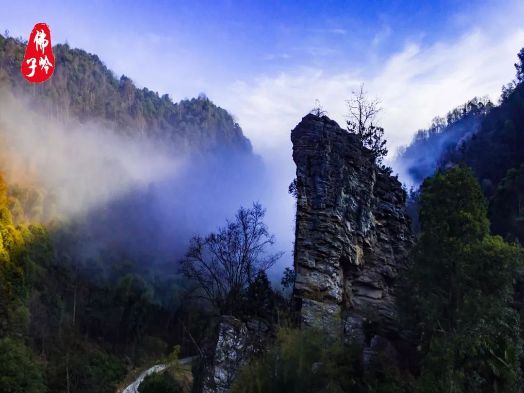 佛子岭景区参与中国品牌旅游景区评选活动