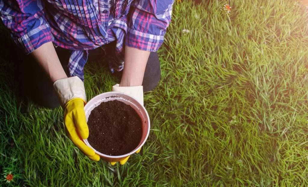 【农业百科】7个简单方法，教你判断土壤酸碱度