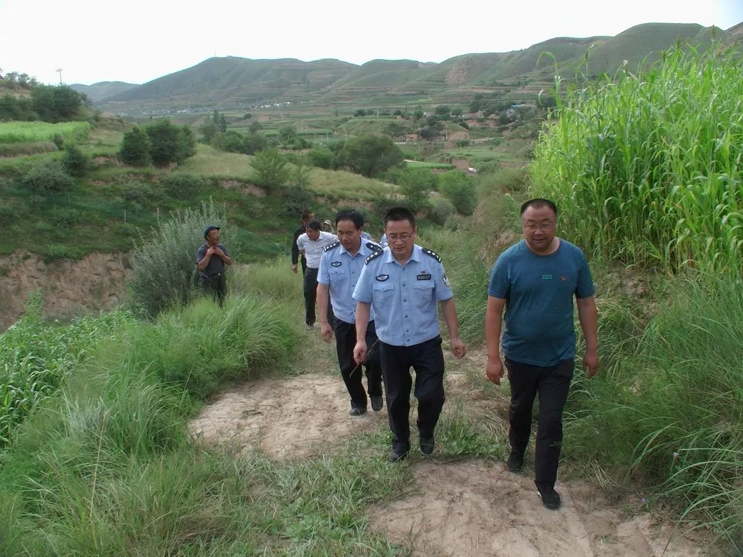 西吉马建乡积极组织开展禁种铲毒踏查工作,铲除非法种植大麻300余株