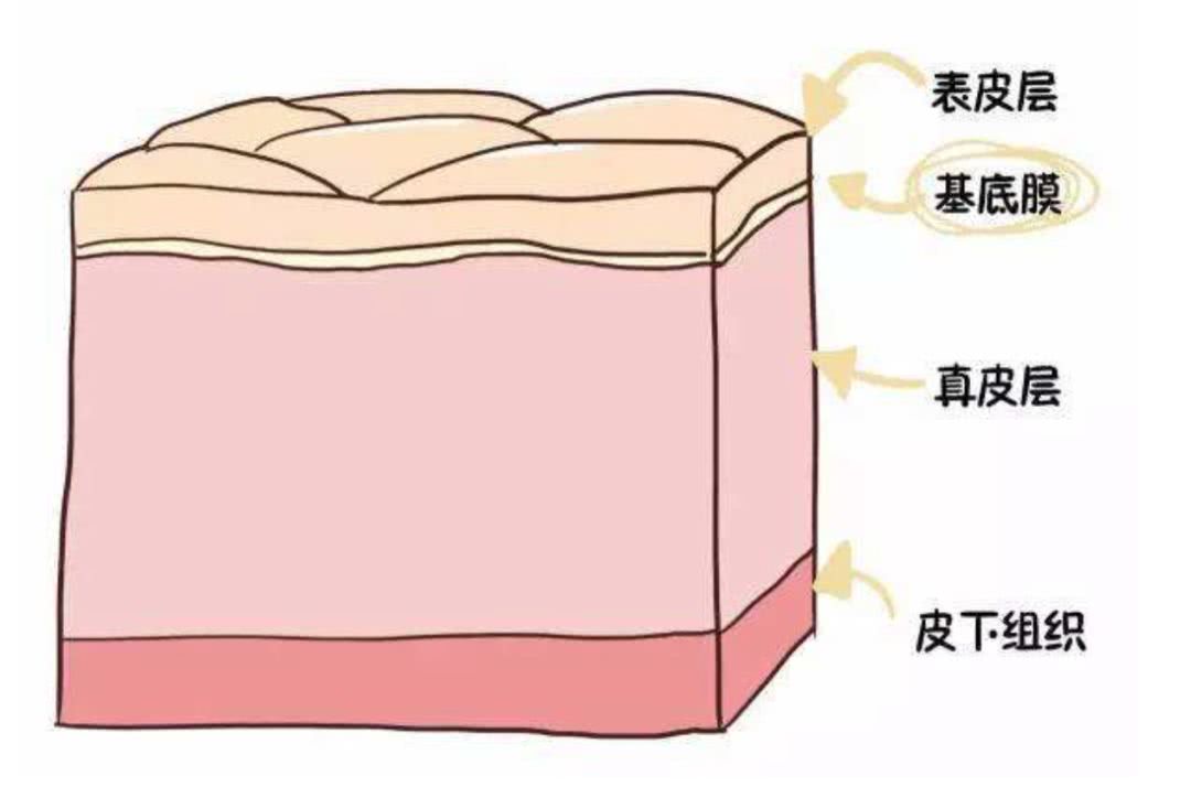 因为大多数护肤品渗透吸收有限,不能达到皮肤真皮层