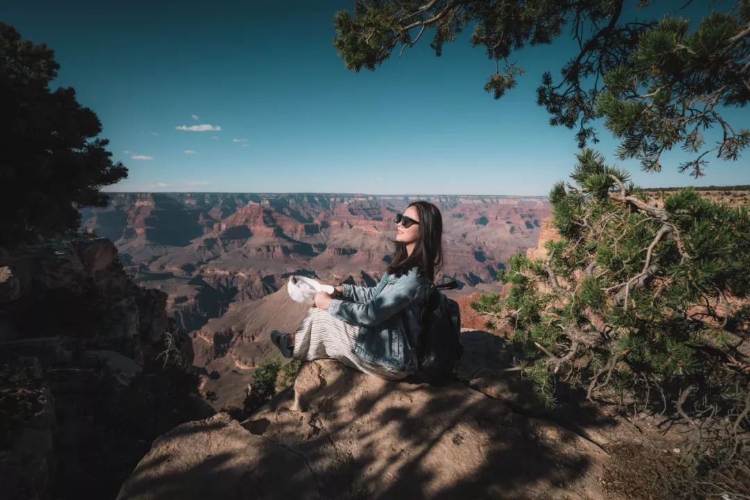 "the wonders of the grand canyon cannot be adequately