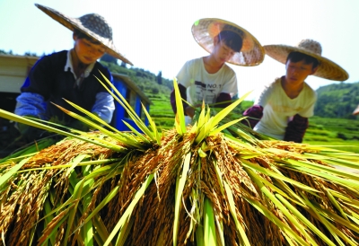 农村贫困人口脱贫_农村脱贫攻坚图片