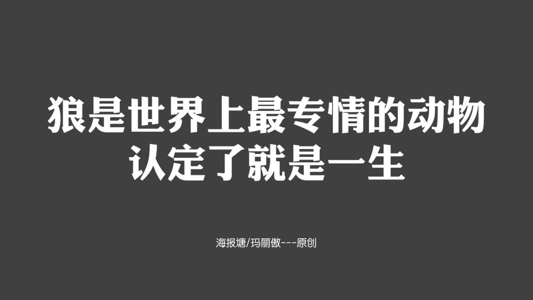 也煲得了一手好鸡汤 适用品牌:所有品牌 备注:系列文案,可以仿照格式