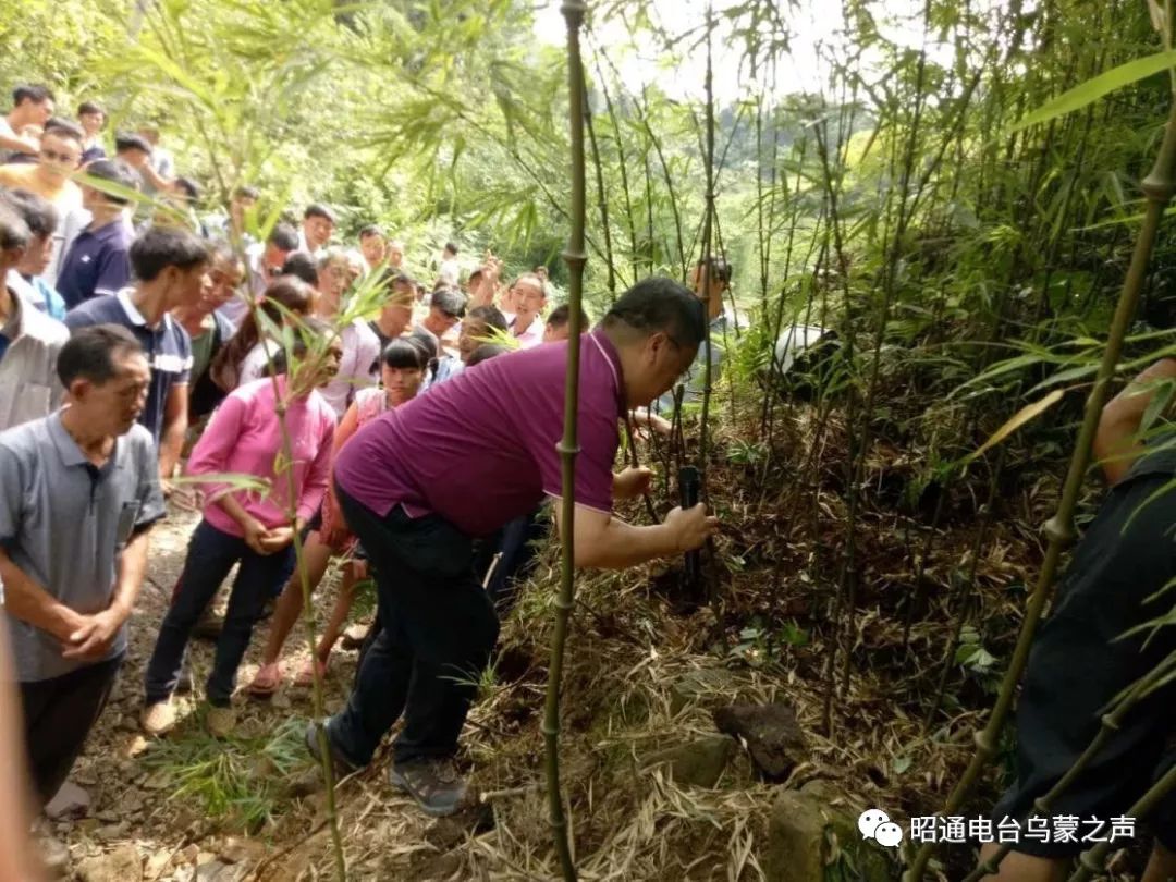 扶贫故事74走进筇竹之乡大关县木杆镇