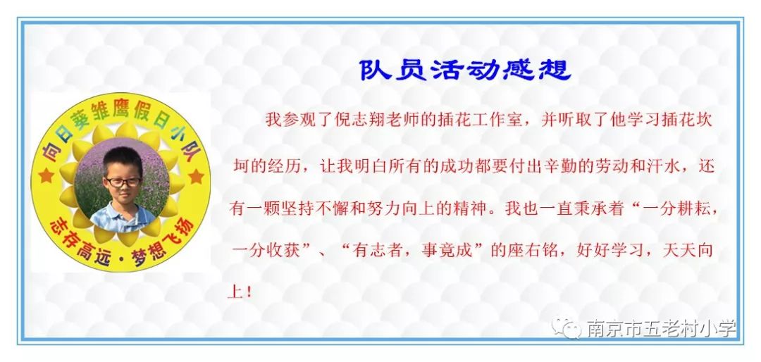 这样多元化的雏鹰假日小队你见过吗一年级中队