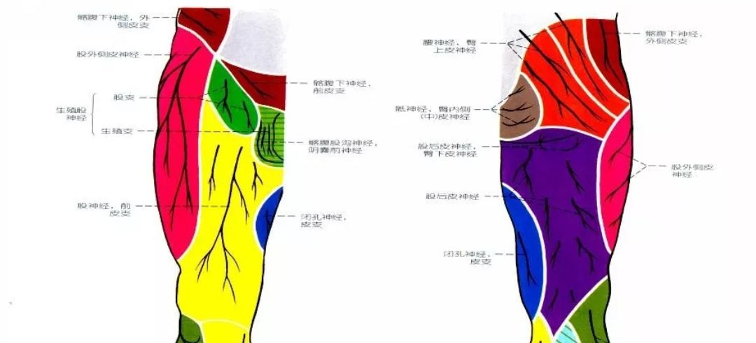 淄博市第一医院手术麻醉科在单纯神经阻滞下完成一例疑难危重患者下肢