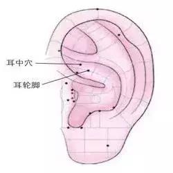 耳中穴:位于耳朵正中,耳轮脚处.要用指甲掐或者贴上细颗粒按压刺激.