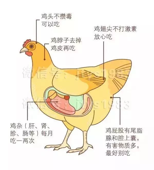 鸡,鸭,鱼……这些部位最好别