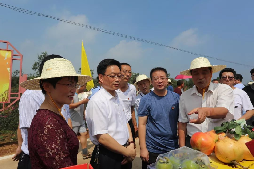 (黄青锋 周罡 姚一鹏)黄黄野菊好兆头,红红花