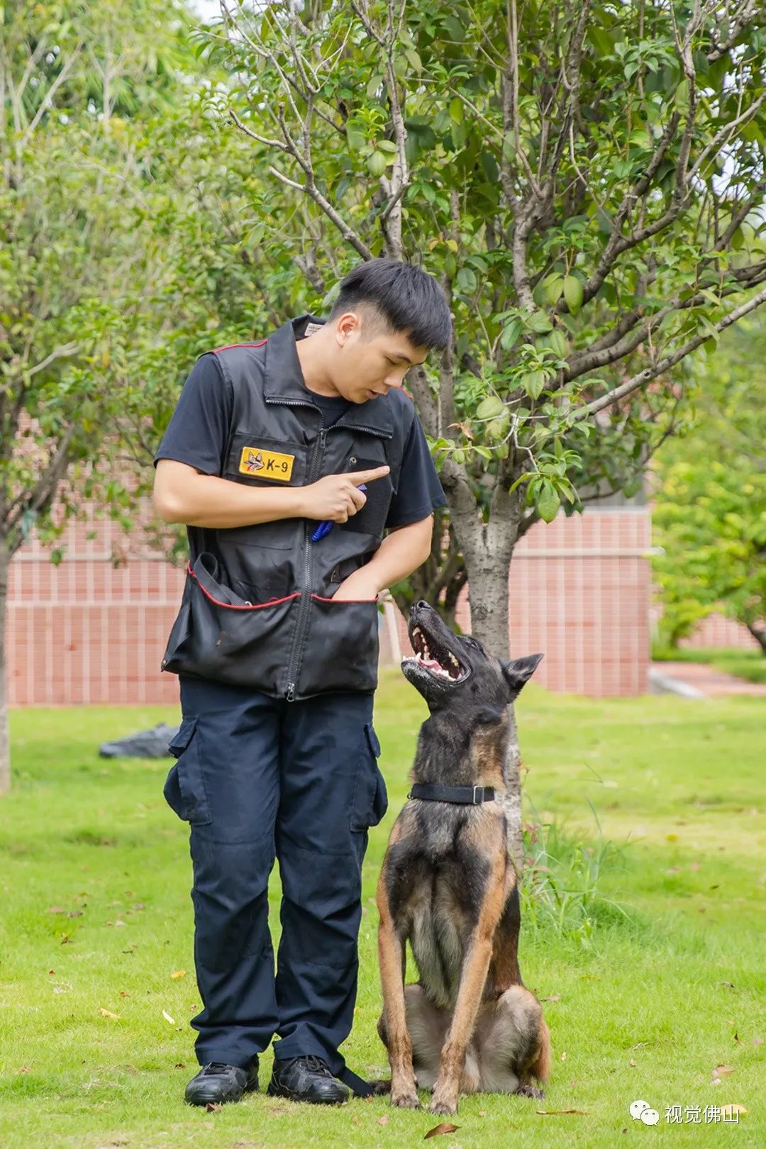 训导员正在展示负责反恐处突工作的马犬日常常规训练科目